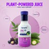 Geofit Jamun Neem Karela Juice Plant Powered Juice