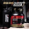 Megagrow Mass Gainer Milk Chocolate Flavour Muscles In Charge