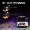 Leeford Himalyan Pure Shilajit Gold Resin with Swarna Bhasma | Helps to Boost Immunity & Provide Strength - 20g